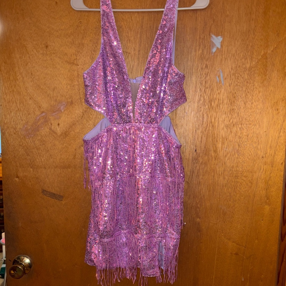 Sparkling Purple Sequin Fringe Dress